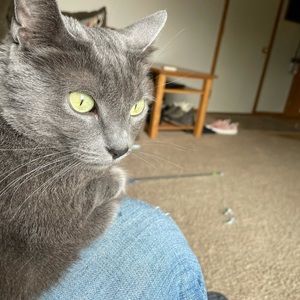 Meet your Posher, Bill